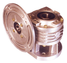 Worm Gear Motor