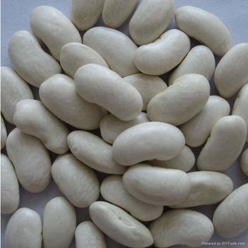White Kidney Beans / Butter Bean / White Bean