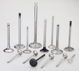 Engine Valves