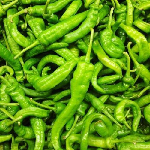 Organic Hot Green Chilli