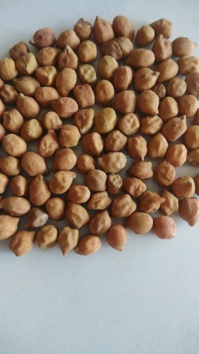 Roasted Chana, Color : Brown