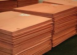 Copper cathodes, Grade : 99.99