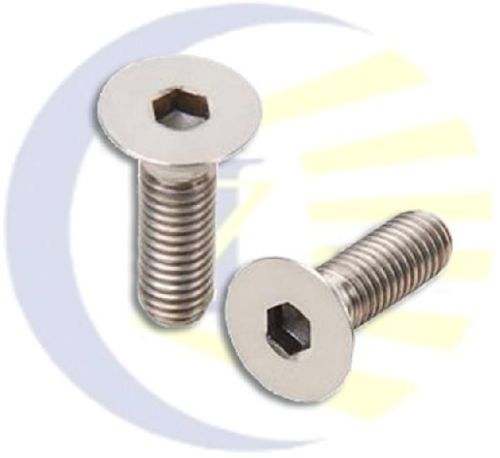 Stainless Steel Hexagon Socket Countersunk Head Screw (Allen CSK)