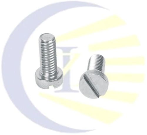Stainless Steel Slotted Cheese Head Screws, For Industrial, Personal, Size : Multisizes