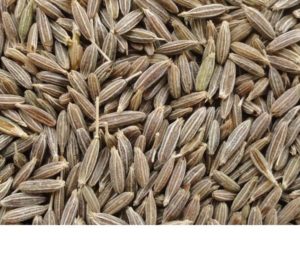Cumin seeds, Packaging Type : 12.5 kg