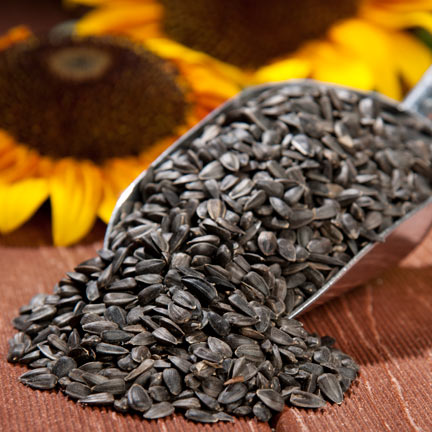 Natural Sunflower Seed, For Oil, Purity : Hygenic