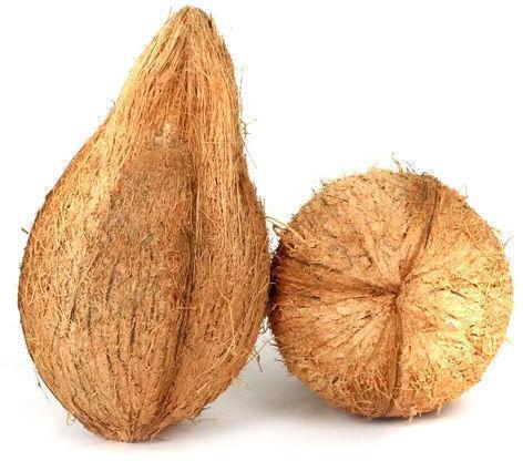 Common Semi Husked Coconut, Shelf Life : 6months