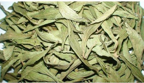 Dried Stevia Leaves, Feature : High Medicinal Value Hygiene