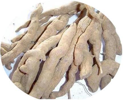 Sarpagandha Roots, For Medicinal, Packaging Size : 40 Kg