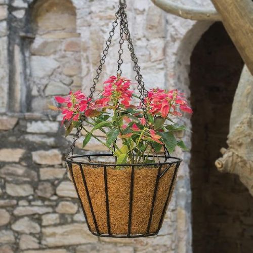 Tapered Hanging Basket