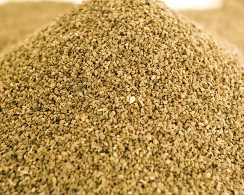 Celery Seed Oil