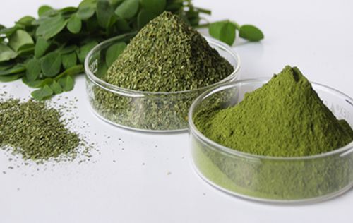 Moringa Leaf Powder