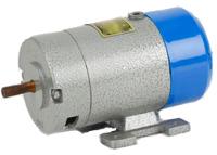 Universal Motor