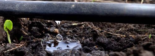 Inline Drip Irrigation Systems