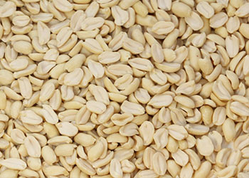 Roasted White Blanched Split Peanut