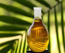 Palm Oil