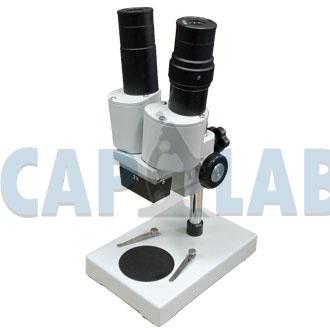 Student Stereo Microscope