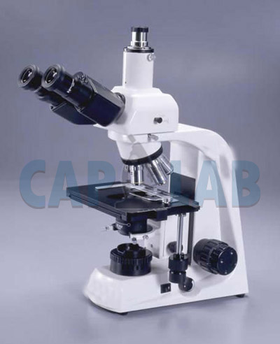 Trinocular Microscope