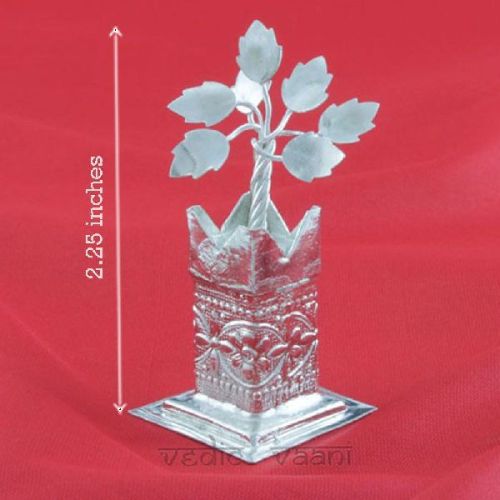 15 Grams German Silver Tulsi Plant