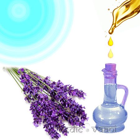 Lavender Oil