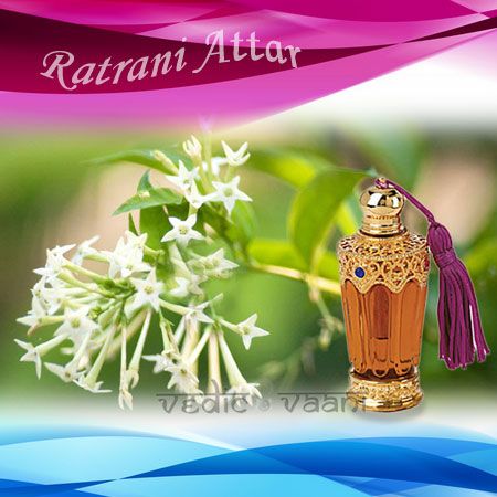 Raat Rani Attar