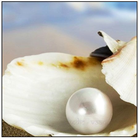 South Sea Pearl