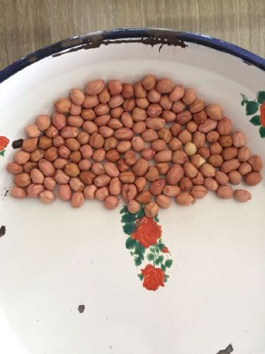 Java peanuts