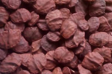 Organic Akungba Seeds, Packaging Size : 5-10 Kg