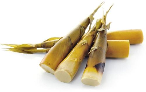 Bamboo Shoot, Packaging Type : Carton