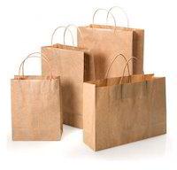 Plain Hotel Parcel Paper Bags, Feature : Eco Friendly