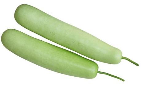 Organic Fresh Bottle Gourd, Color : Green