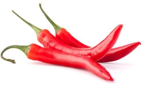 Organic Fresh Red Chilli