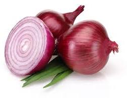 Organic Fresh Red Onion, Packaging Type : Sack Bag