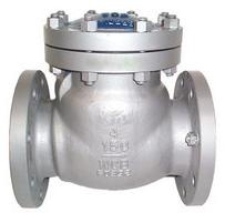 Polished Aluminium NRV Valve