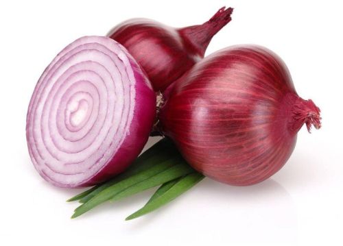 Organic Fresh Onion, Packaging Type : 10kg 20kg 25kg 50kg