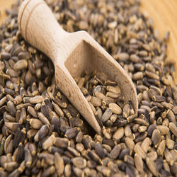 Milk Thistle Whole Seeds, Packaging Type : Plastic Bag