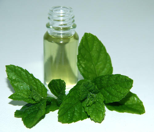 Peppermint Oil, For Pharma Food, Grade : AAA