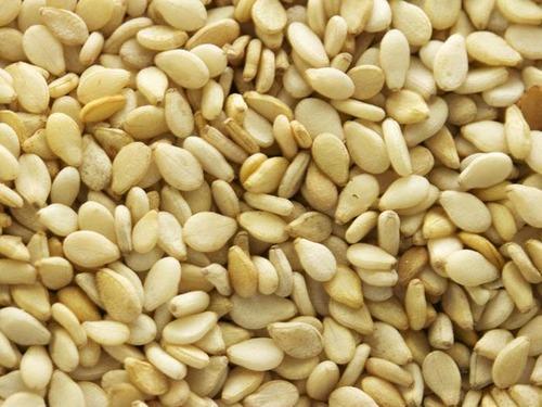 Common Sesame Seeds, Style : Natural