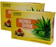 Herboshine Turmeric Soap