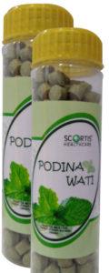 Podina Wati