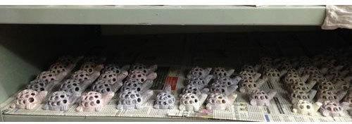 Marble Turtle Statue