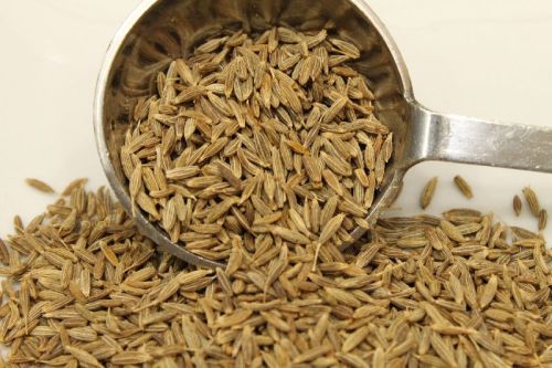 Cumin Seeds, Color : Brown