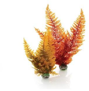 Autumn Fern Plant Pack Aquascaping / Decor