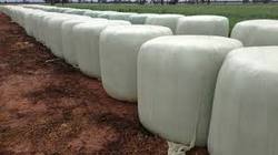 PRC POLYMERS Silage Bags, Color : Milky White In Color