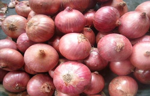 Round Fresh Onion