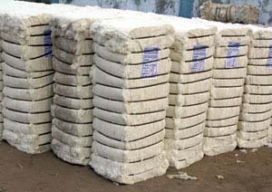 Raw Cotton Bale