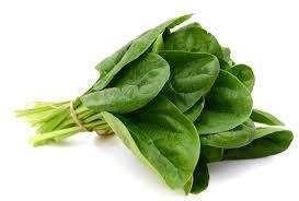Fresh Spinach, Color : Green