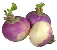 Fresh Turnip