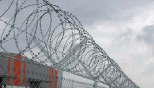 Concertina Razor Wire