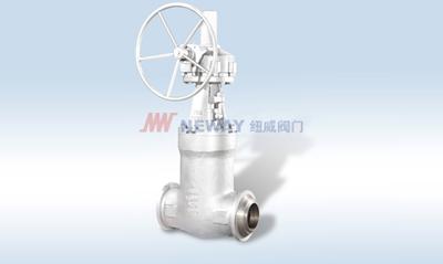 Pressure Seal Valve